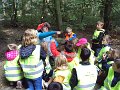 Verkenning in het bos